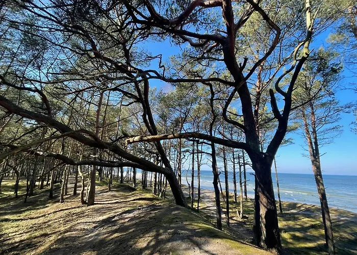 Greenpoint جيفيجينا